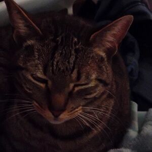 Daughter Love Heels  She Had A Lot Of Them Sent To My House If You Wear Size 10.